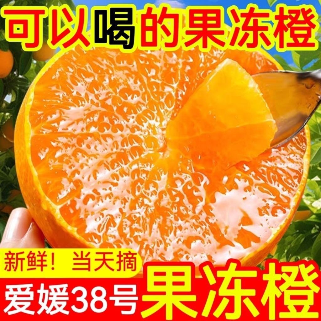 正宗果冻橙手剥薄皮新鲜现摘现发孕妇水果当季湖北宜昌橙子香甜橙,水产肉类/新鲜蔬果/熟食,橙,淘宝优惠券,粉丝福利购,淘宝优惠卷