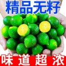 现摘小青桔新鲜青桔奶茶店专用无籽小青柑青金桔小青柠檬酸水果茶