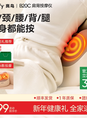 birdify岚鸟B20c腰部按摩仪颈椎肩颈按摩器靠垫女士多功能按摩器