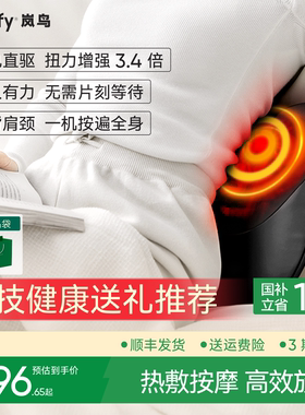 birdify岚鸟B20腰背按摩仪自动揉捏背部颈椎按摩器腰部按摩仪靠垫