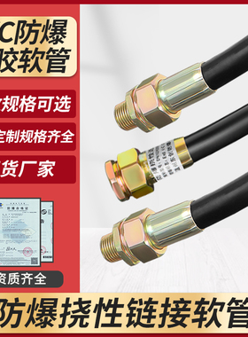 BNG防爆挠性连接管防爆软管挠性接线管4/6分防爆管分穿线管挠性管