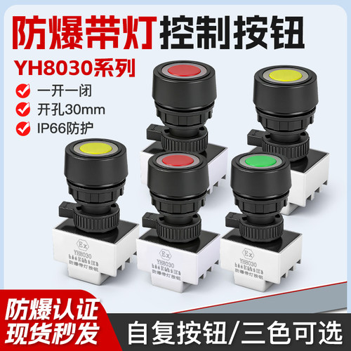 YH8030防爆防腐带指示灯控制按钮30mm有3C证书自复位带灯按钮开关