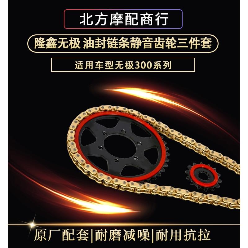 适用隆鑫无极300R/RR/AC/DS大小齿轮静音征和油封链条三件套