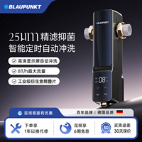 藍(lán)寶入戶自來水前置過濾器家用