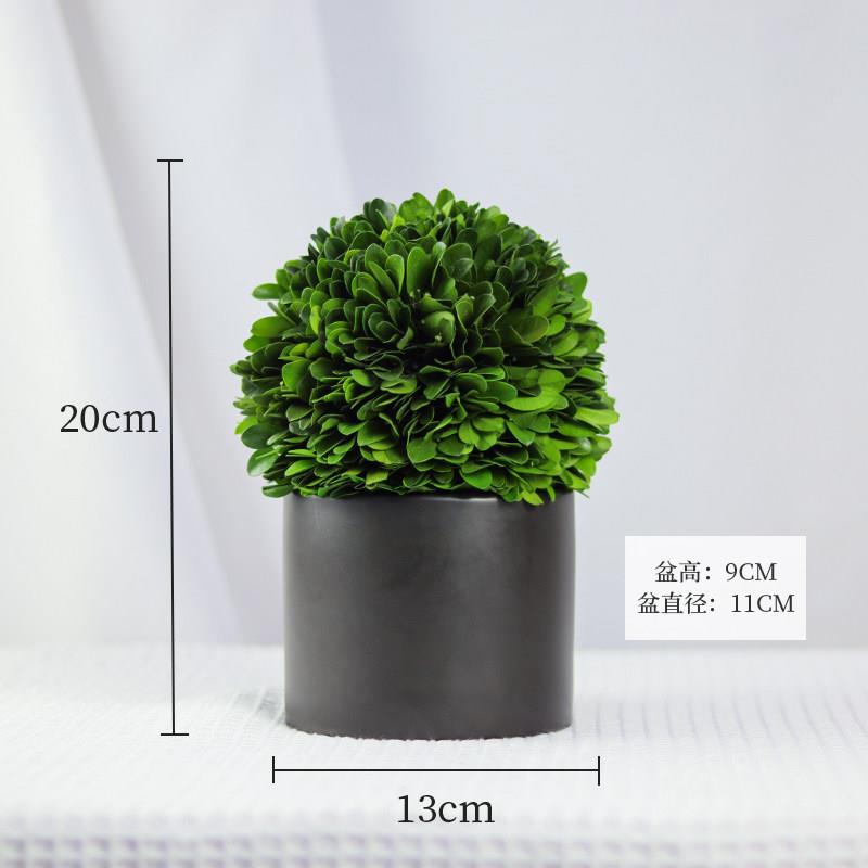 保鲜约植物ZXS厅装饰摆件家居饰品办公室桌小盆栽花卉简四客季面