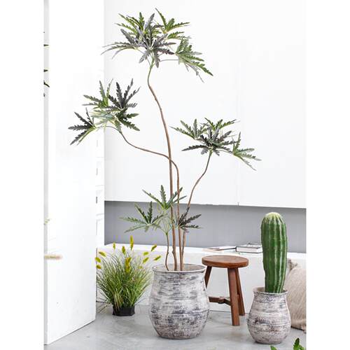 模拟物雀木绿色植物盆栽屋安静风植格室内孔客厅地板宿装饰IDX民