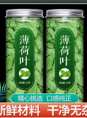 薄荷叶干新鲜可食用咀嚼泡水泡茶清凉口嚼干嚼薄荷茶提神博荷叶