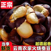 云南特产火烧蚕豆原味保山新货传统农家炒货零食云小咪绿心蚕豆