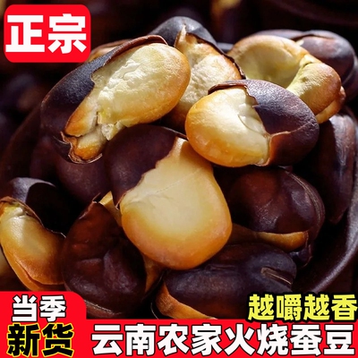 云南特产火烧蚕豆原味保山新货传统农家炒货零食云小咪绿心蚕豆