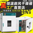 1工业鼓风干燥箱恒温烘箱电热烘干机实验室高温老化烤箱试验 101