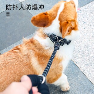速发短款中型冲型犬防爆多金毛哈士奇拉布拉大遛狗绳狗链子
