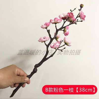速发古典舞寒依衣疏影剧目红梅花桃花枝舞蹈用道具花手持拿桃花枝
