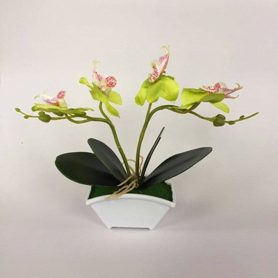 速发植物盆栽假花盆栽直供5朵蝴蝶兰小盆栽绿植小盆景摆件