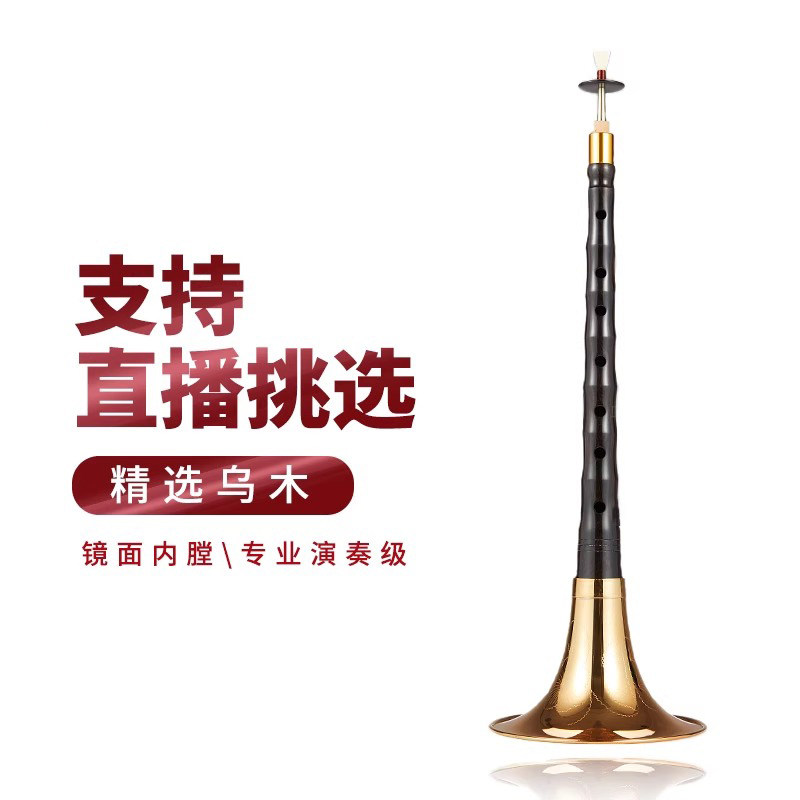 唢呐乐器全套初学者成人专业演奏乌木D调降B调民间喇叭乐器
