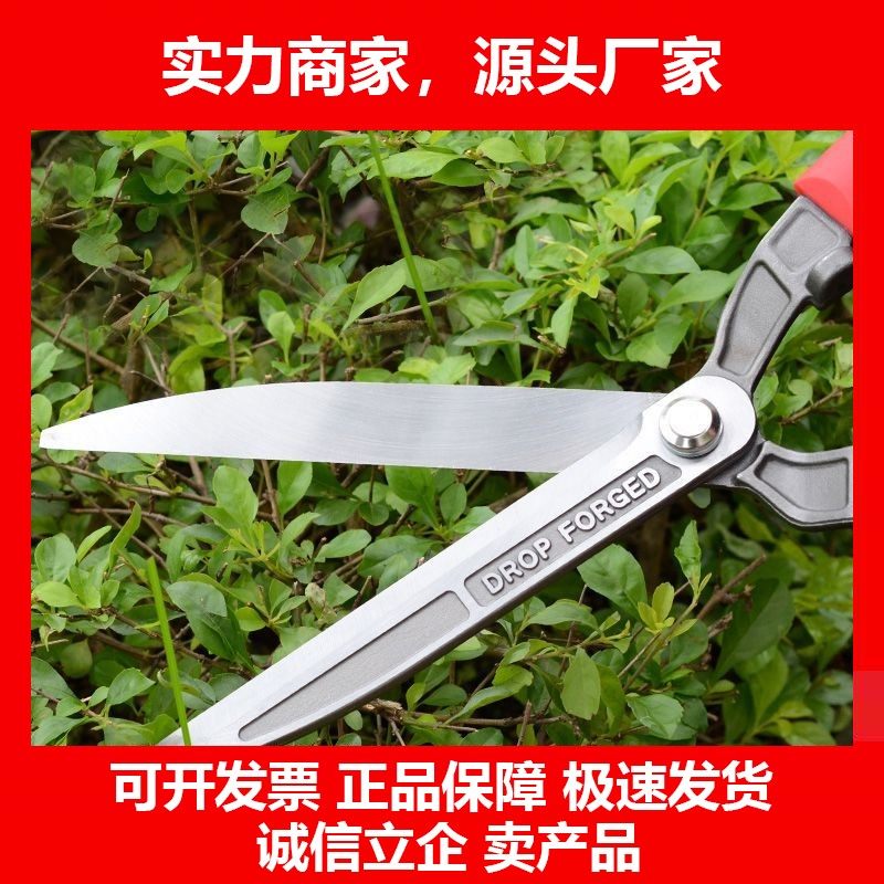 德国十大品牌园林大剪刀修枝剪高碳钢大号草坪剪园艺剪粗枝剪篱笆