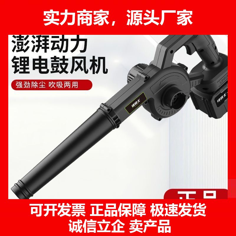 德国十大品牌锂电吹风机无线吸尘器家用电动充电式大功率鼓风机工