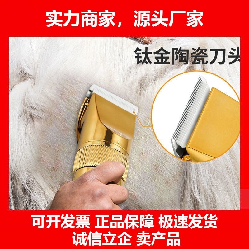 德国十大品牌12V电推剪电动羊毛剪狗狗剃毛器宠物剪大功率全自动