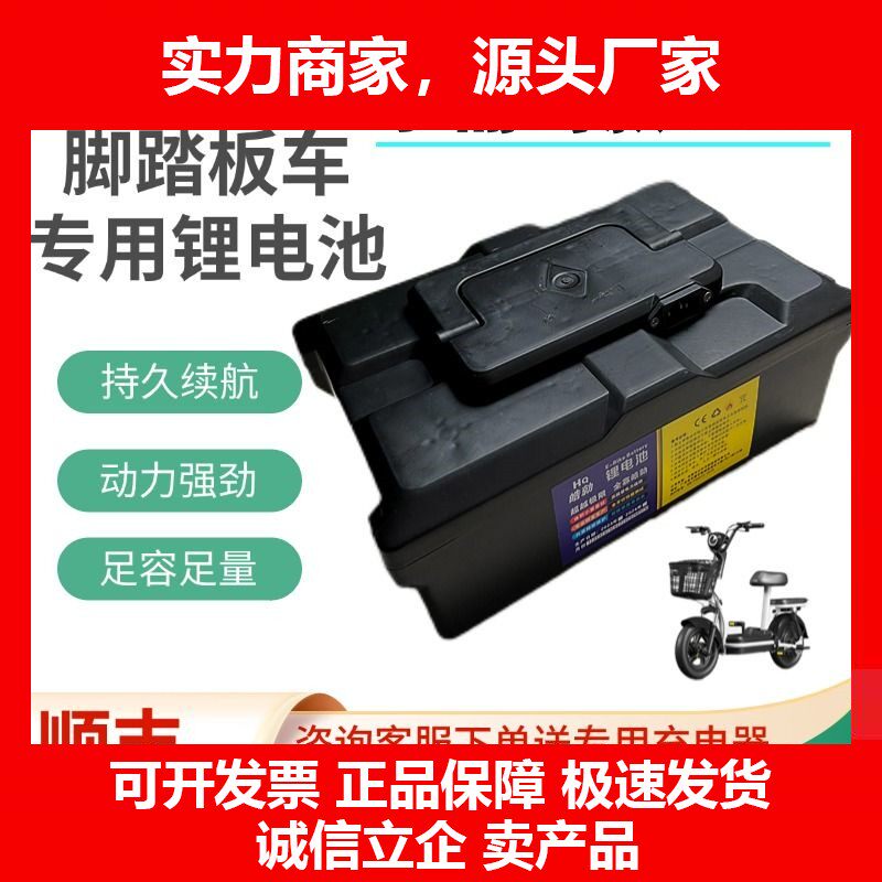 德国十大品牌48v新锂电池二轮电动踏板车电池可替换铅酸超大功率