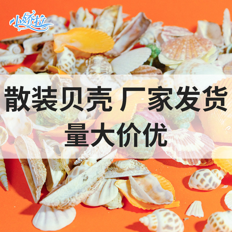 天然贝壳海螺海星儿童手工diy材料包鱼缸造景装饰摆件风铃漂流瓶