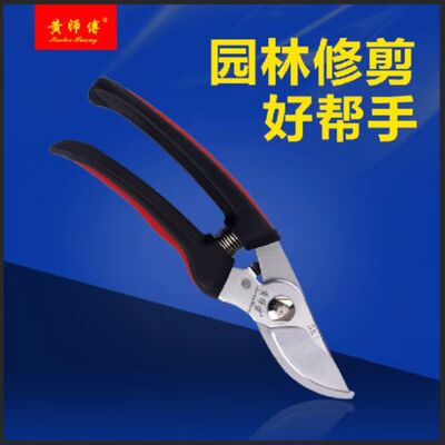 黄师傅园艺剪刀修枝剪果树剪树枝剪花剪整枝剪刀剪枝剪鸟嘴果枝剪