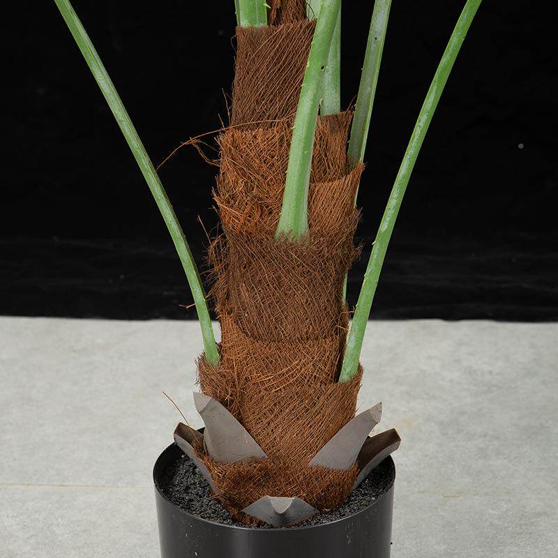 大造型仿真唐客棕葵蒲葵葵树植物LM-0005盆栽厅摆件室内扇客厅装