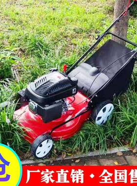 小型汽油花手推式草机20割寸家庭用草坪机园林用AL-65539草修坪剪
