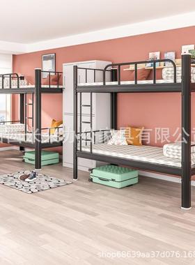 SCC01钢制床铁架床上下铺高低员工单人单层学生艺宿舍铁架床床公