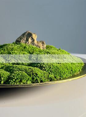 中WIF式餐真桌桌间景观插花仿绿植摆件餐厅仿真中文竹永生青苔面