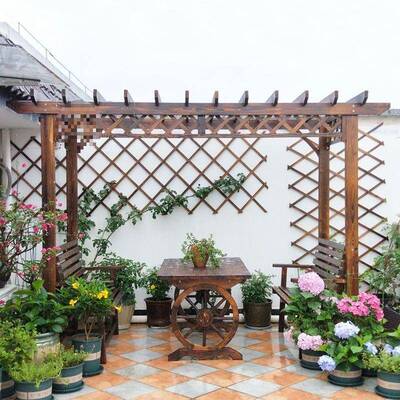 葡萄庭实院架防腐木外爬藤架子别墅室外木户亭子碳化简易花园DIQ