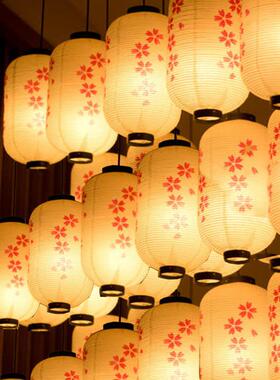 24节气防水灯笼定宿制WFS中式国民饰酒店街道打卡装户外防水风灯