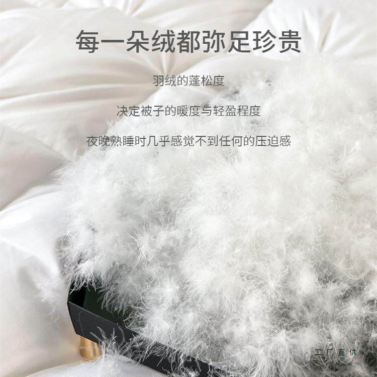 羽绒被9%鹅绒F98TJMSS单人春秋冬被子5单鸭白绒冬天棉被芯冬季加