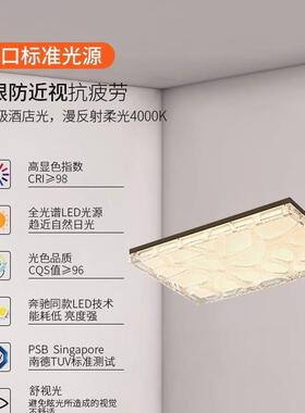 意式奢轻客19390厅吸顶灯5202新款大气灯护眼卧室书房全屋套餐组