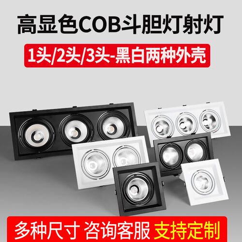 LED嵌入式双头斗胆灯cob射灯方形筒灯豆胆灯网格葡萄架连体格栅灯
