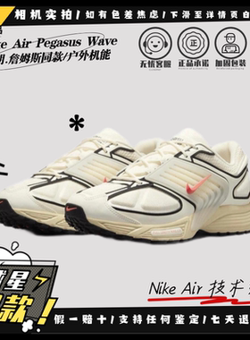 Nike Air Pegasus Wave 勒布朗.詹姆斯同款跑步鞋IB0612-100现货