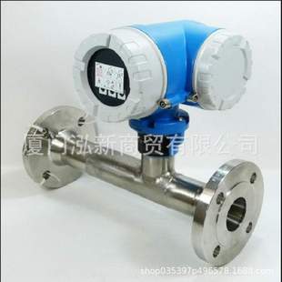 Endress 电磁流量计10L2H DN200 auser恩德斯 UE0A1AA0A4AA