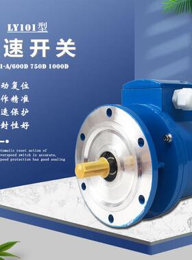 单向轴超速开关LY101-A/600D750D1000D起升机电动机速度控制器