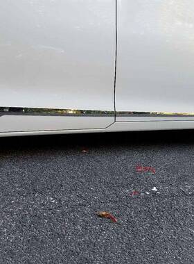 适用于NOAHVOXY车身饰条门边装饰亮条改装门边条保护条