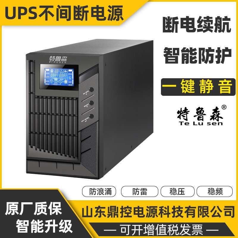 特鲁森TLS1103-LN高频UPS不间断电源3KVA2700W长效机外接电池柜包