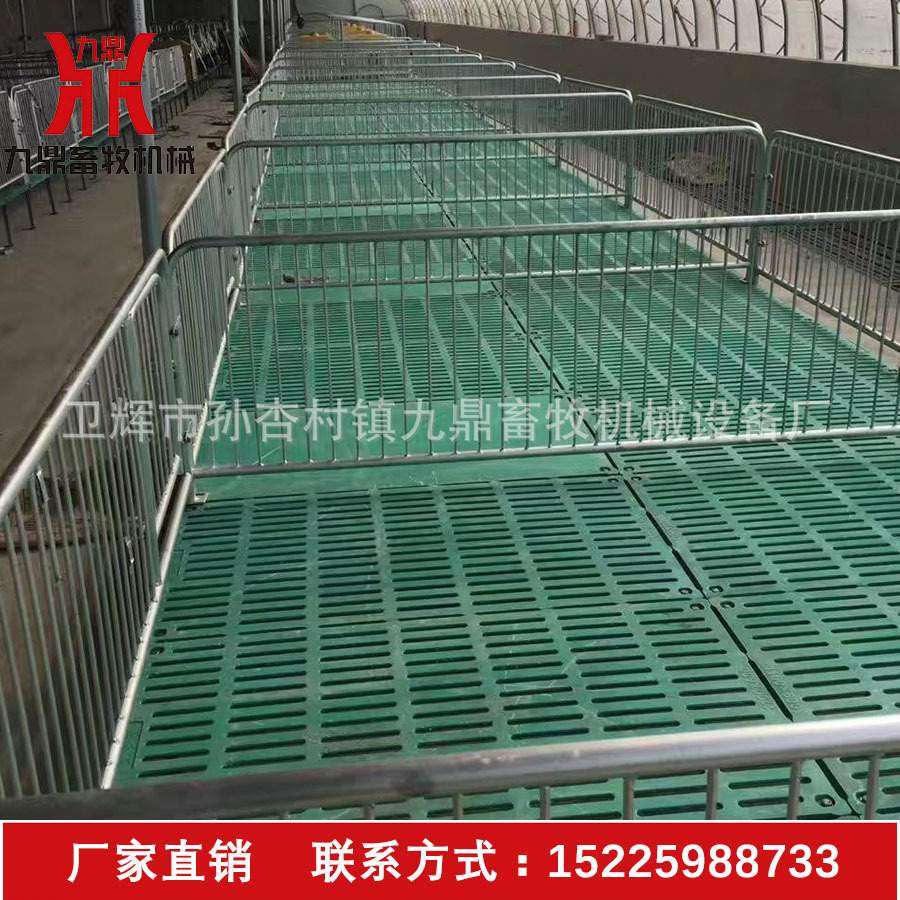 河南生产猪用产床 养殖场设备母猪产床 双体母猪产床
