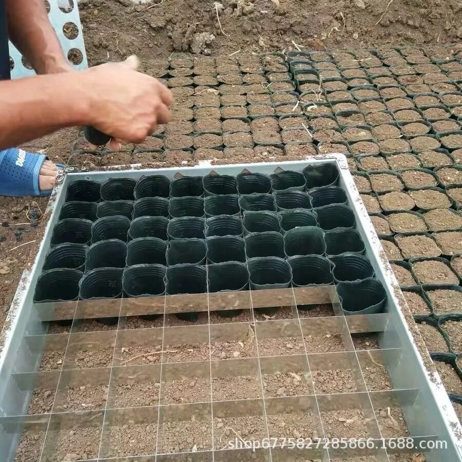 现货加厚育苗杯装土器营养杯装土器营养钵装碗器装杯器快速装土器