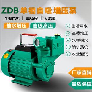 自吸泵家用抽水机小型抽水泵高扬程全自动水井自来水增压泵大流量