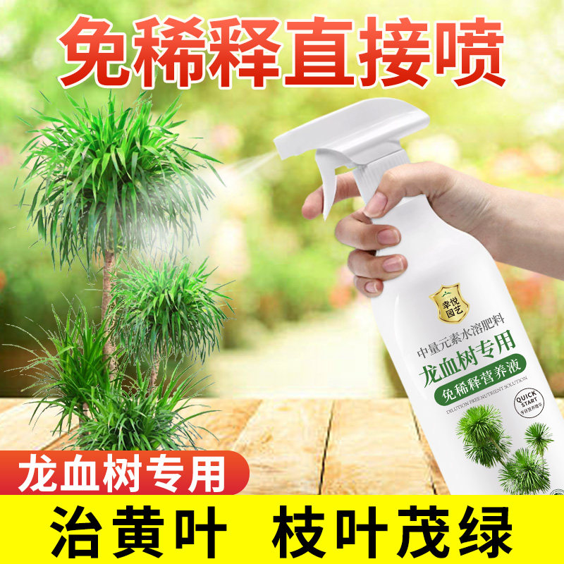 速发子血树营养液免稀释叶龙干肥龙铁树龙血树肥料枯土