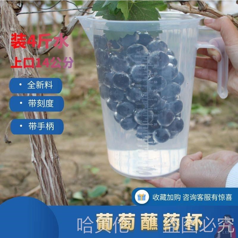 速发葡萄浸果拉蘸药神器葡萄喷药器膨剂大浸果杯器穗器蘸药杯沾药
