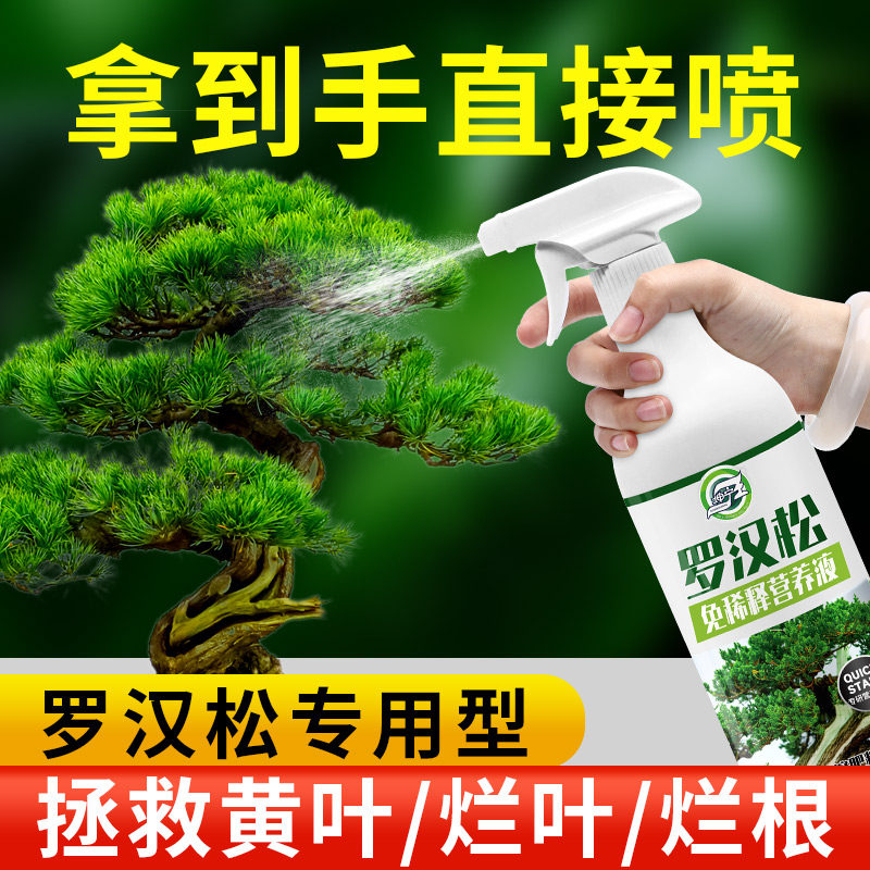 速发罗汉通肥营养液有机肥料栽稀释室内盆免植物松用型家用盆栽景
