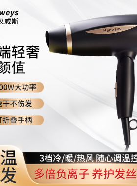 Hanweys法国汉威斯折叠负离子家用大功率电吹风HSD-81115（黑色）