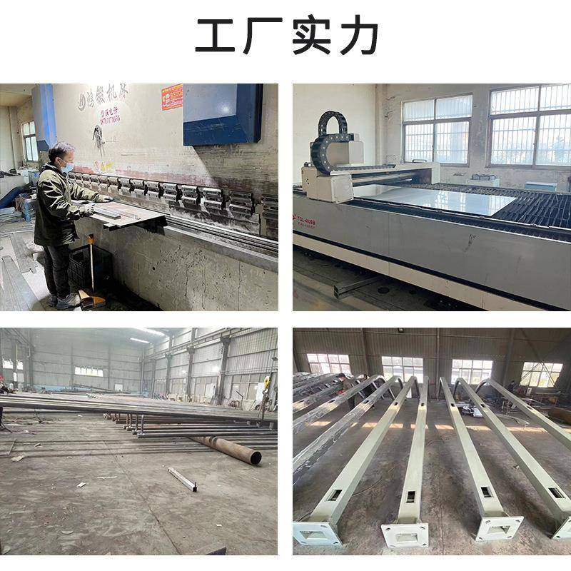 玉兰ST-330灯户外广场景观市政工程8米10米道路照明中华灯dle大型