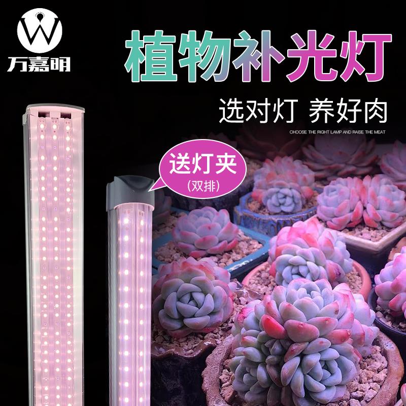 全光谱植物灯生长灯仿太阳光室内家用模拟光照上色多肉专用补光灯
