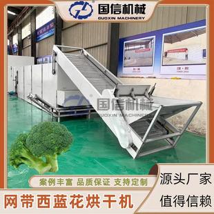 网带西蓝花烘干机 绿花菜蔬菜烘干设备 茎椰菜青花菜履带式 烘干机
