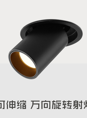 拉伸式射灯 嵌h入式伸缩可调角度洗墙高显色象鼻聚光开孔5.5cm75M