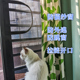 防猫纱窗封窗f网防宠物跳窗网跳楼外出挡猫隔离家用防蚊拦猫网自
